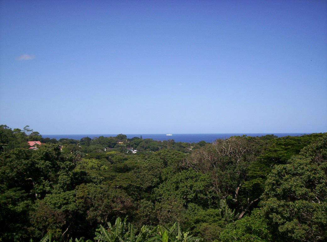 Image 19 of 20  -  135 kB